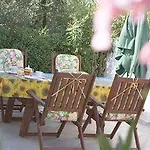 Bed & Breakfast Del Picchio 3*